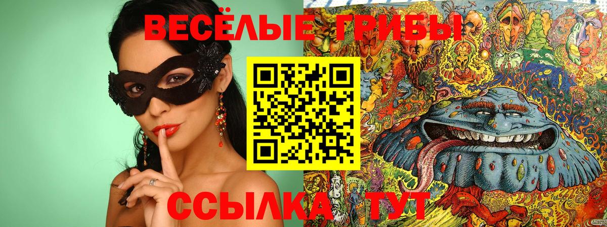 Галлюциногенные грибы Psilocybe  Вход с VPN  Кемерово 