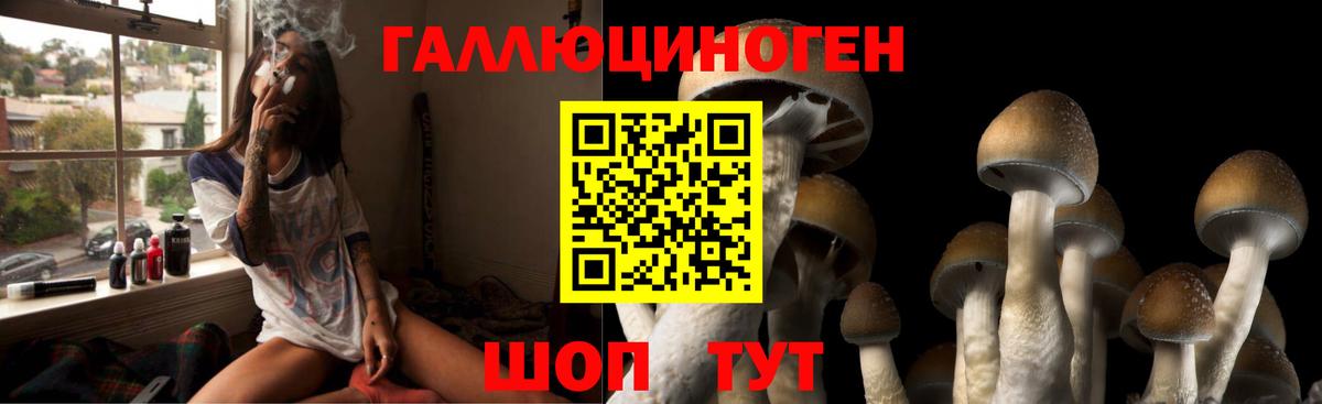 Псилоцибиновые грибы Magic Shrooms Кемерово