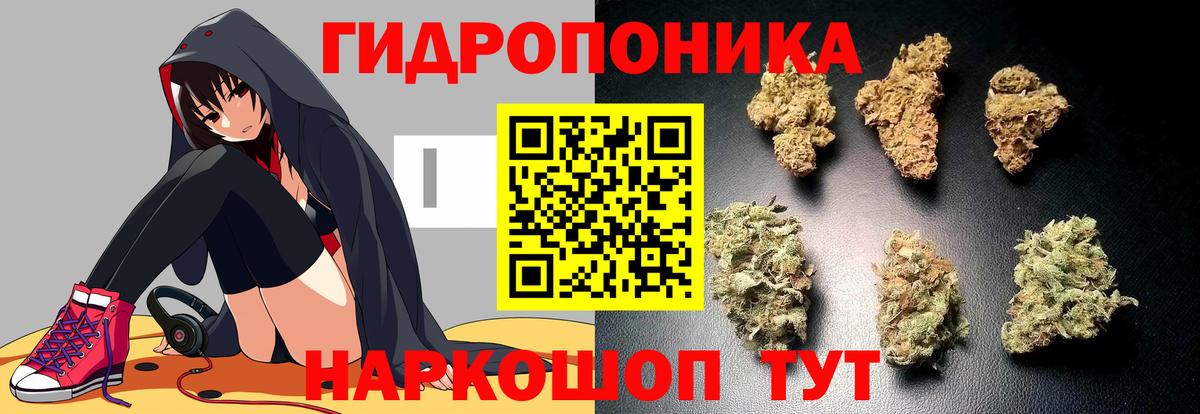 Конопля MAZAR  Шишки марихуана гибрид  Вход с VPN  Кемерово  Марихуана Ganja 